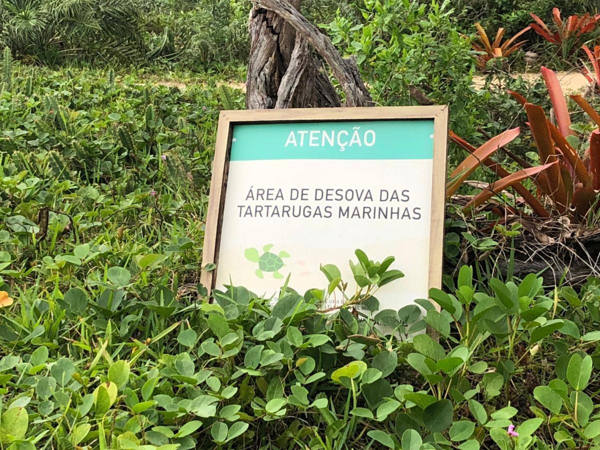 Victor Hugo Pousada Com Natura E L'Occitane Santo Andre  Luaran gambar