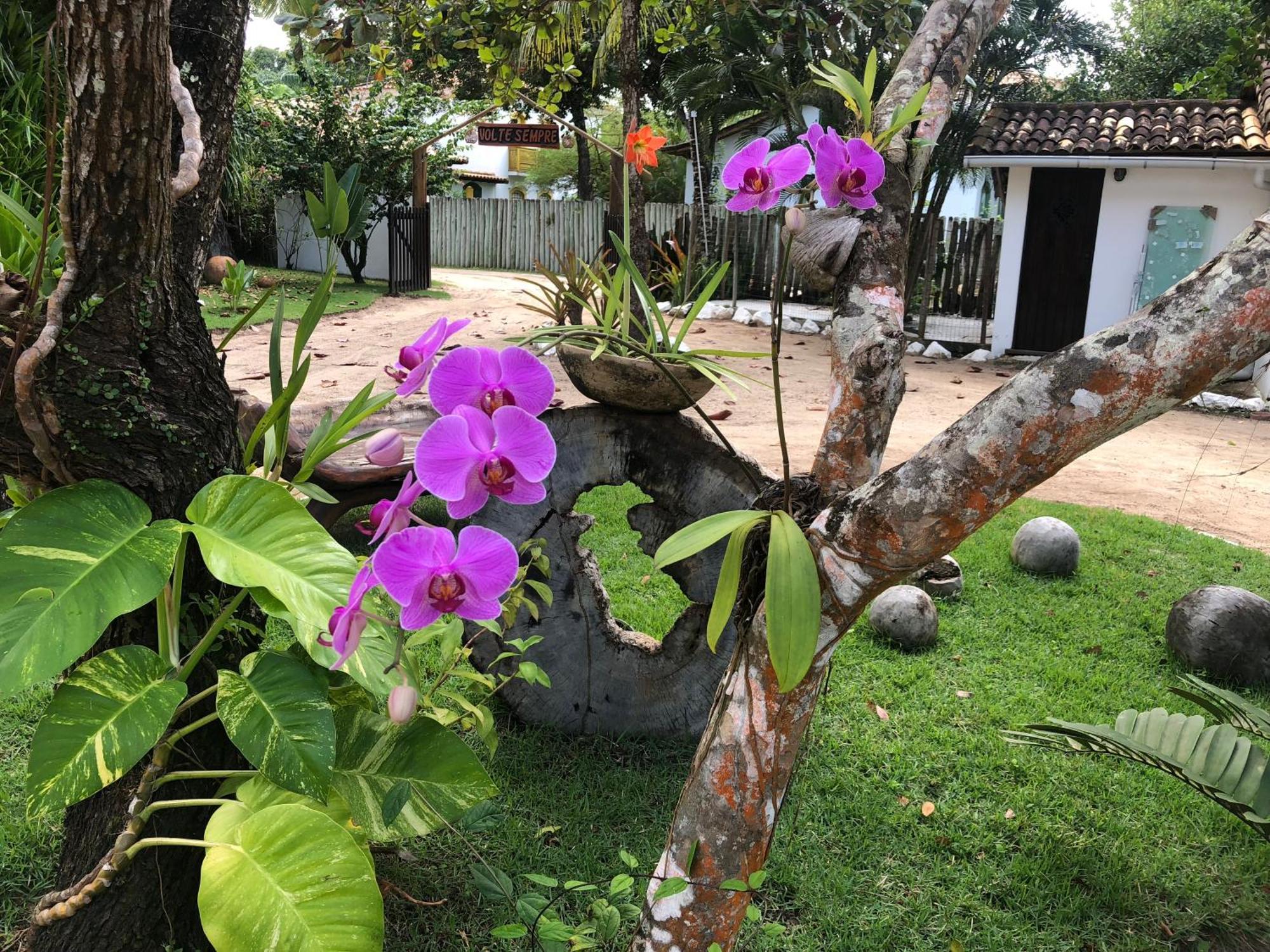 Victor Hugo Pousada Com Natura E L'Occitane Santo Andre  Luaran gambar